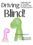 Driving Blind!